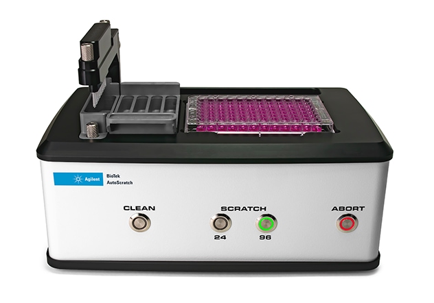 Autoscratch wound making tool